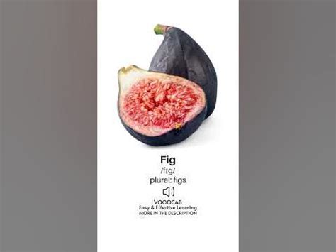 fig traduzione|fig pronunciation.